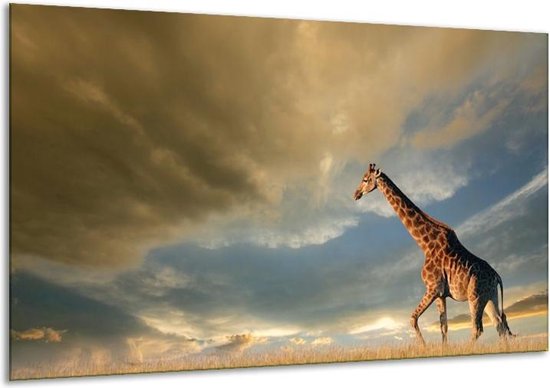 Schilderij Op Canvas Giraffe - Bruin, Grijs, Blauw - 120x70cm 1Luik - Foto Op Canvas - GroepArt 6000+ Schilderijen 0p Canvas Art Collectie - Wanddecoratie - Woonkamer - Slaapkamer - Canvas Print