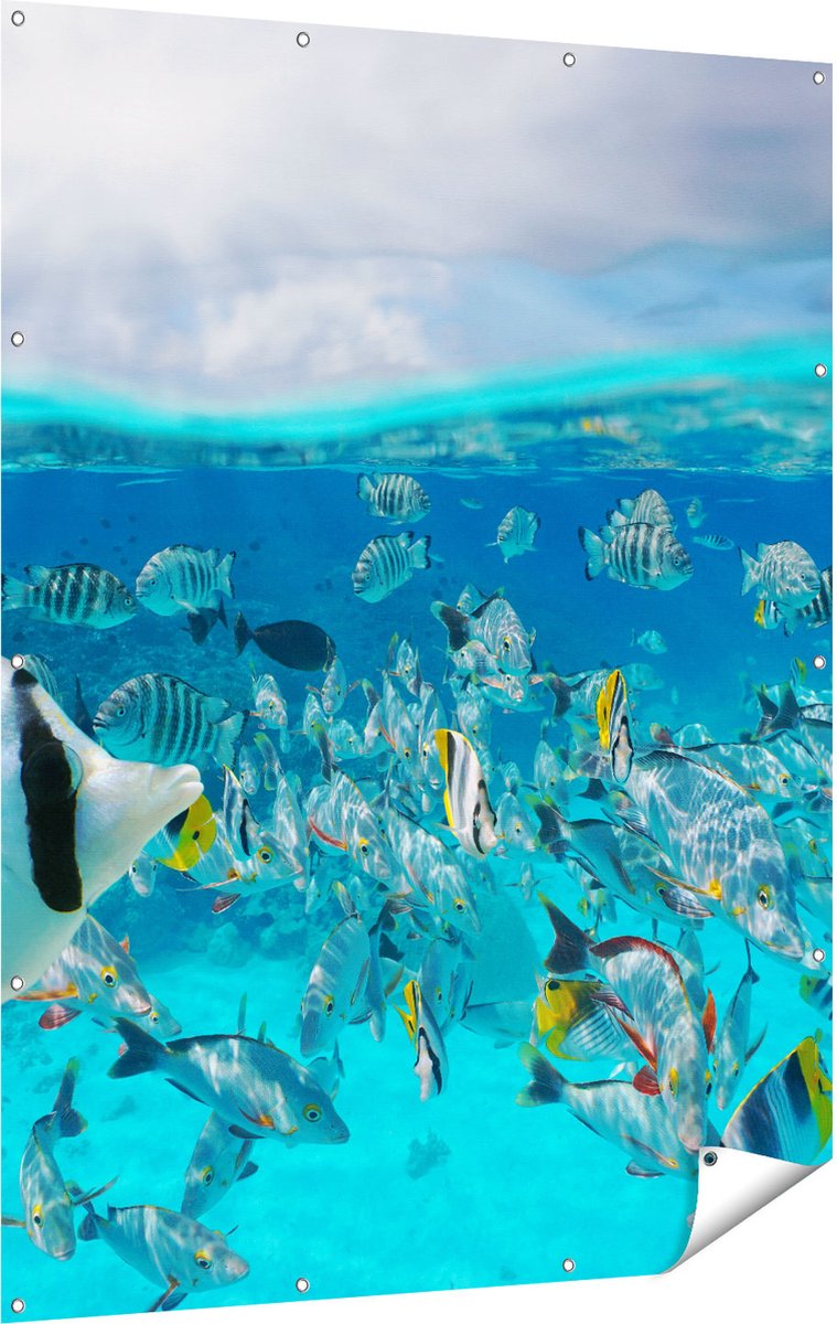 Gards Tuinposter Zwerm Gele Vissen in het Water - 120x160 cm - Tuindoek - Tuindecoratie - Wanddecoratie buiten - Tuinschilderij Multikleur
