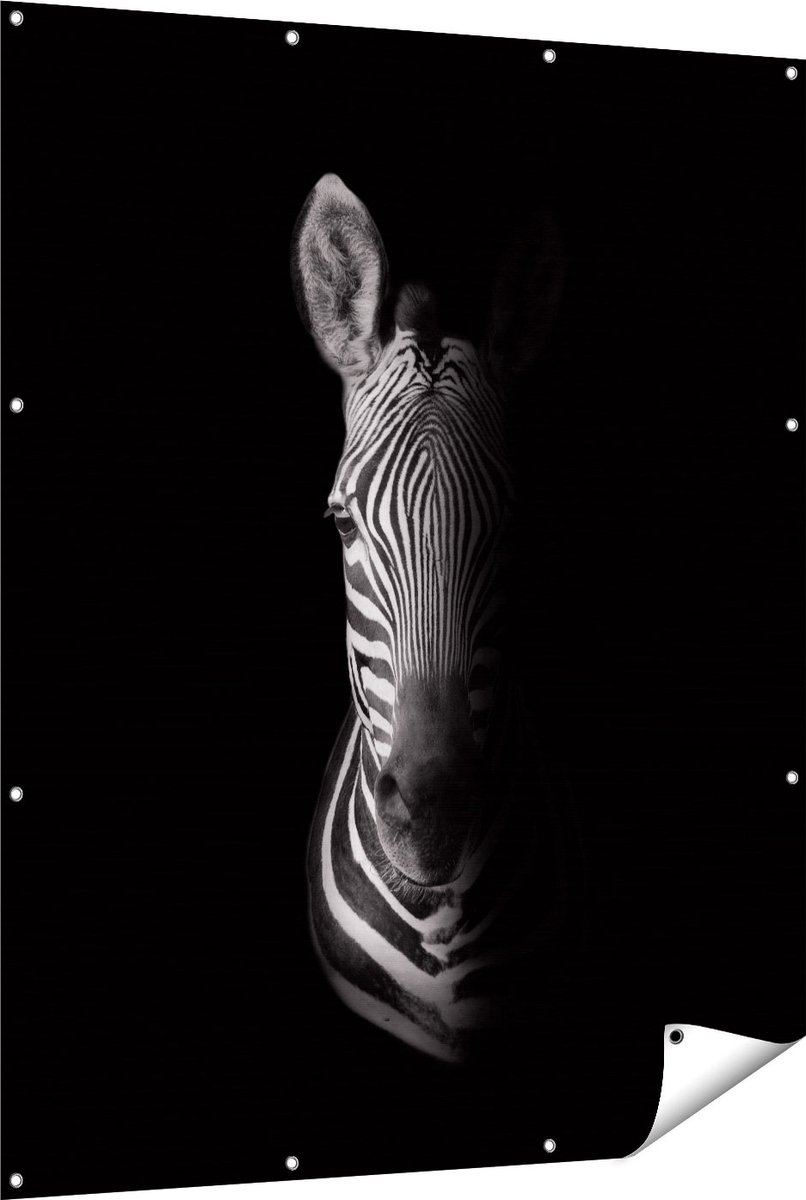 Gards Tuinposter Halve Zebra - Zwart Wit - 120x150 cm - Tuindoek - Tuindecoratie - Wanddecoratie buiten - Tuinschilderij Multikleur