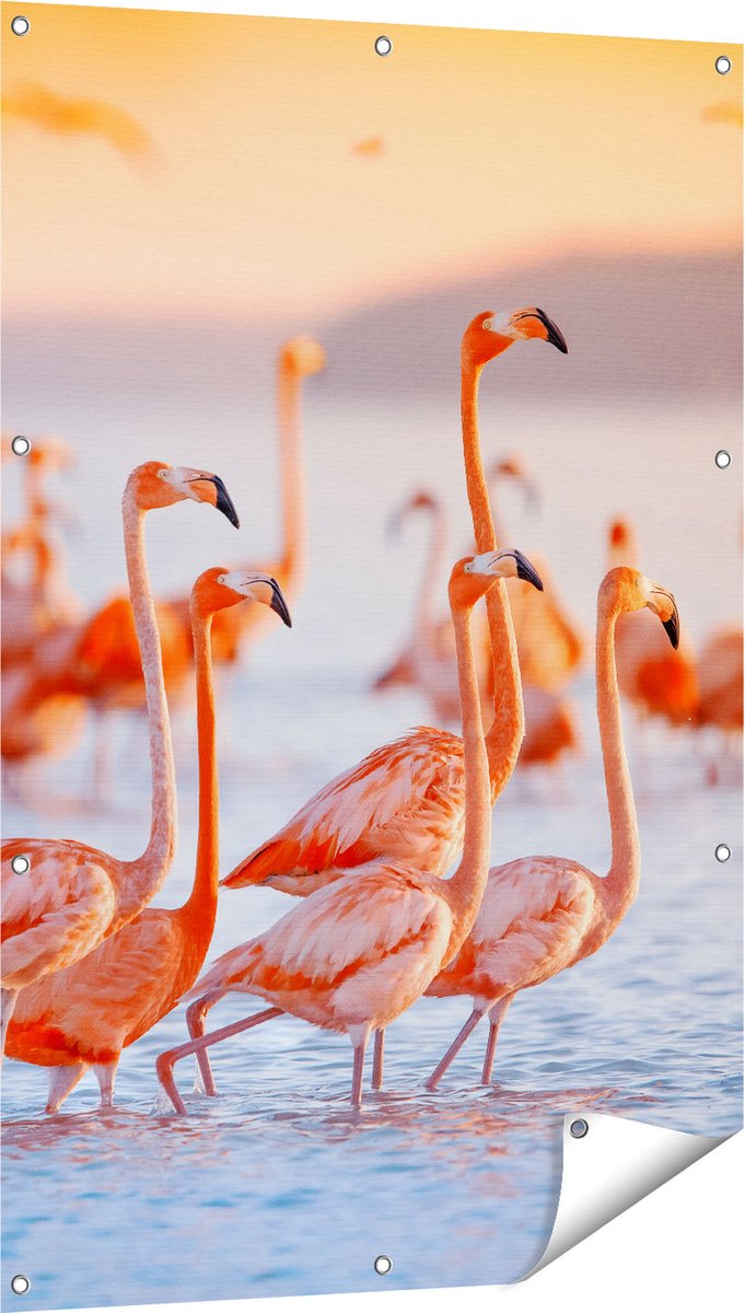 Gards Tuinposter Kudde Flamingo's in het Water - 80x120 cm - Tuindoek - Tuindecoratie - Wanddecoratie buiten - Tuinschilderij Multikleur