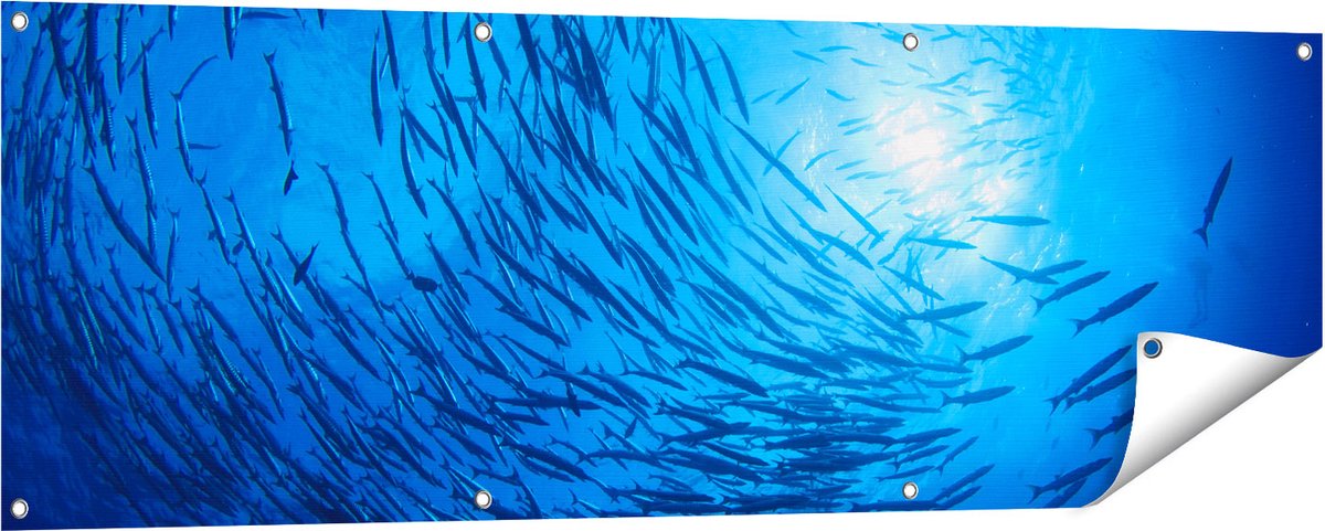 Gards Tuinposter Zwerm Vissen in de Oceaan - 150x50 cm - Tuindoek - Tuindecoratie - Wanddecoratie buiten - Tuinschilderij Multikleur