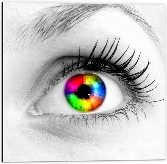 Dibond - Kleurrijk Oog in Regenboogkleuren in Zwart- wit gezicht - 50x50 cm Foto op Aluminium (Met Ophangsysteem)