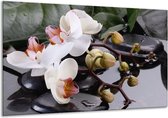 Peinture sur verre d'orchidée | Jaune, noir, blanc | 120x70cm 1Hatch | Tirage photo sur verre |  F004044