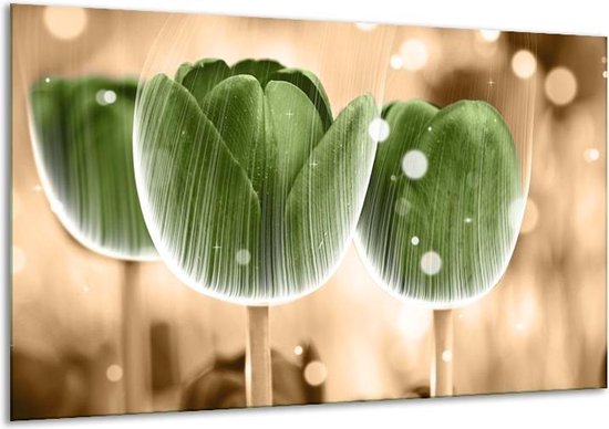 Glasschilderij Tulp - Groen, Bruin - 120x70cm 1Luik - Foto Op Glas - Geen Acrylglas Schilderij - GroepArt 6000+ Glasschilderijen Art Collectie - Wanddecoratie - Woonkamer - Slaapkamer