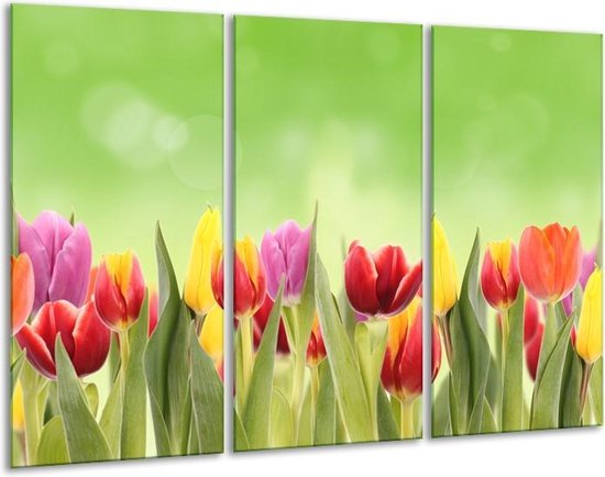 Schilderij | Canvas Schilderij Tulpen, Bloemen | Groen, Rood, Geel |  120x80cm 3Luik |... | bol.com