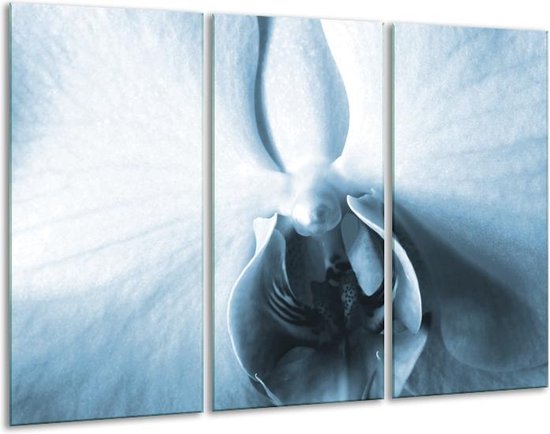 Glasschilderij Bloem - Blauw, Wit - 120x80cm 3Luik - Foto Op Glas - Geen Acrylglas Schilderij - GroepArt 6000+ Glas Art Collectie - Maatwerk Mogelijk