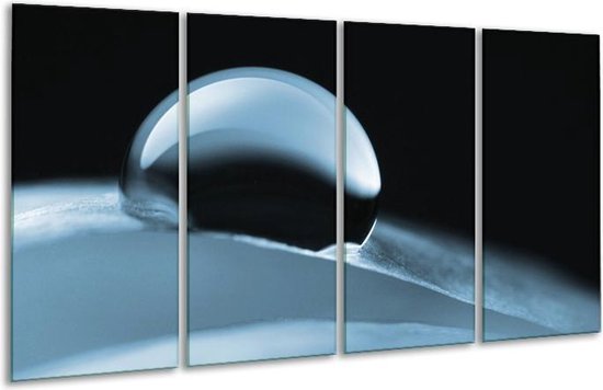 GroepArt - Glasschilderij - Macro - Blauw - 160x80cm 4Luik - Foto Op Glas - Geen Acrylglas Schilderij - 6000+ Glasschilderijen Collectie - Wanddecoratie