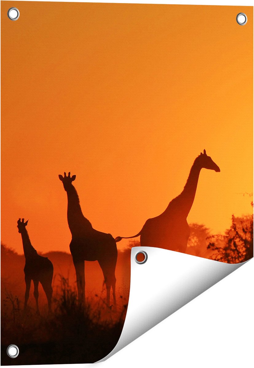 Gards Tuinposter Drie Giraffe Silhouetten bij Zonsondergang - 40x50 cm - Tuindoek - Tuindecoratie - Wanddecoratie buiten - Tuinschilderij Multikleur