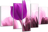 Peinture sur verre tulipe | Violet, blanc, noir | 170x100cm 5 Liège | Tirage photo sur verre |  F003888