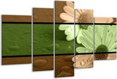 Glasschilderij Bloem - Groen, Bruin - 170x100cm 5Luik - Foto Op Glas - Geen Acrylglas Schilderij - 6000+ Glasschilderijen Collectie - Wanddecoratie