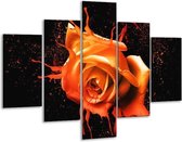 Glasschilderij -  Roos - Oranje, Zwart - 100x70cm 5Luik - Geen Acrylglas Schilderij - GroepArt 6000+ Glasschilderijen Collectie - Wanddecoratie- Foto Op Glas