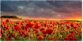 Tuinposter bloemen - Rood - Klaprozen - Zonsondergang - Natuur - Schuttingdoek - Tuin - Tuinschilderij voor buiten - Schutting decoratie - 200x100 cm - Tuindecoratie - Tuindoek