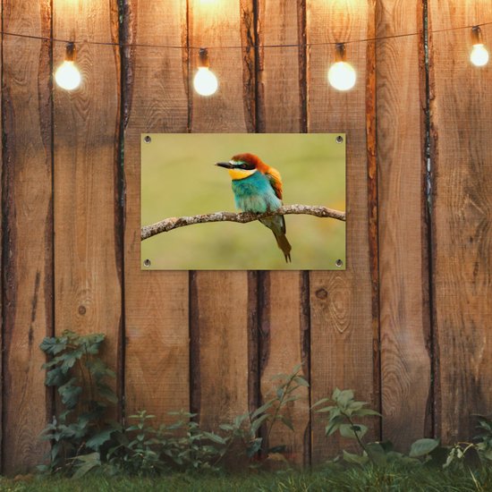 Affiche de Jardin Vogel - Guêpier - Animaux - 60x40 - Toile jardin - Affiche extérieure