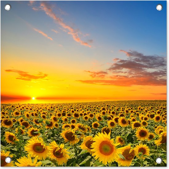 Posters de jardin Fleurs - Tournesol - Coucher de soleil - Nuit - Oranje - 50x50 cm - Toile jardin - Affiche extérieure