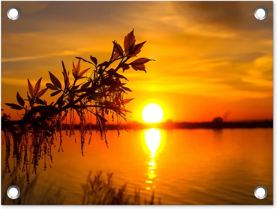 Décoration de Jardin Sunset - Water - Plantes - Oranje - 40x30 cm - Toile de jardin - Poster extérieur