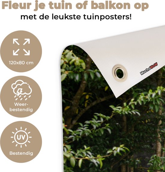 Affiche de jardin - Parc - Nature - Vert - Transparent - 120x80 cm - Jardin - Décoration de jardin- Toile jardin