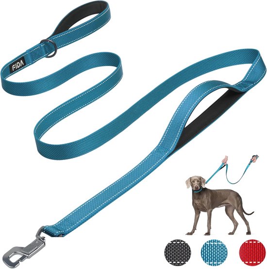 LUCKY LUCY Hundeleine 3m, für mittel & große Hunde (bis 80kg), reflektierend, mit starkem Aluminium sicherheitskarabiner, schöner Seeblau
