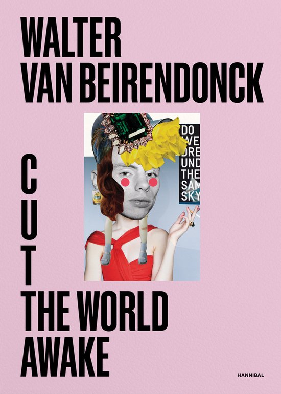 Cut the World Awake - cover