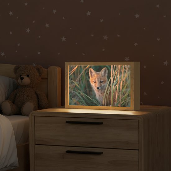 Nachtlampje 30x20 cm - Kinder lamp - Vos - Oranje - Gras - Tafellamp kinderkamer - Slaapkamer lamp - Bedlamp kinderen - Kinderlampje stopcontact - Wandlamp babykamer - Nachtlampjes van Merkloos — afbeelding 2