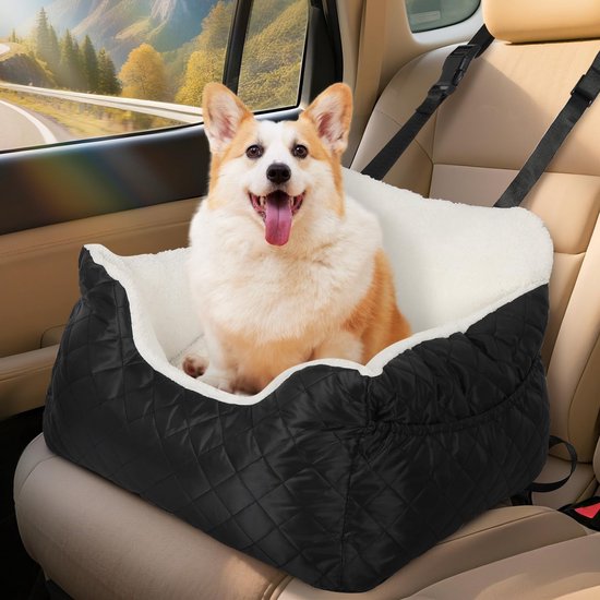 A4PET