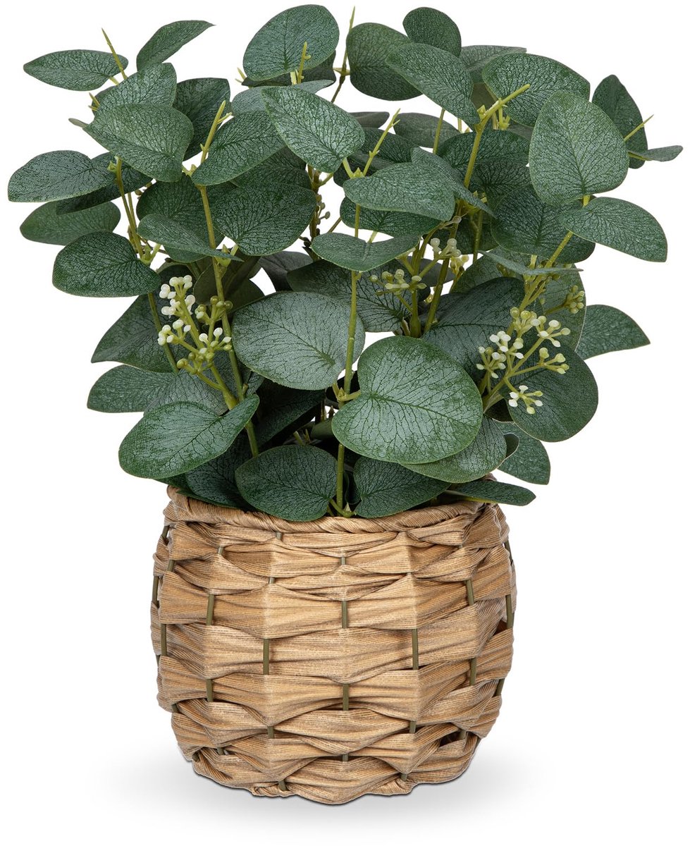 Unyqoos Decoratieve kunstplant eucalyptus in pot voor sfeervol interieurontwerp Groen