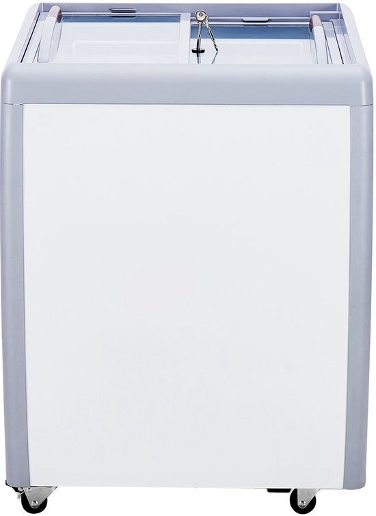 Commerciële Ijsvitrine, Vrieskist van 264 Liter, Restaurantijskast met 3 Draadmanden, 2 Glazen Schuifdeuren En Vergrendelbare Zwenkwielen, Wit