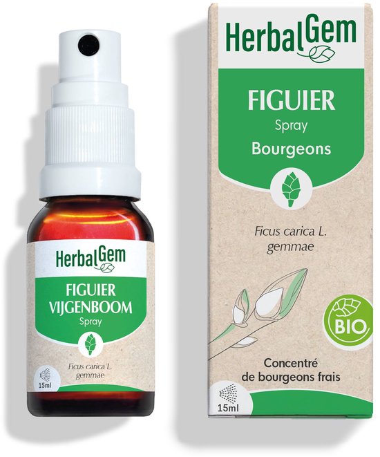 Herbalgem - Vijgen knop - spray - 15 ml