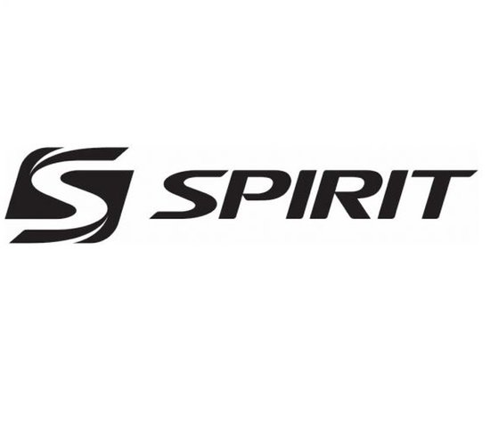 Spirit Fitness CSC900 Professionele Stairclimber - Nieuwste Model
