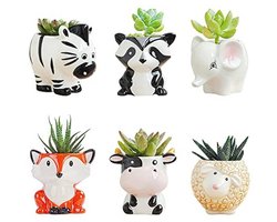 Schattige diervormige keramische plantenpot - set van 6