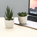 Twee kleine kunstplanten, een met lange groene bladeren en een vetplant, in lichte, ruwe potjes naast een laptop.