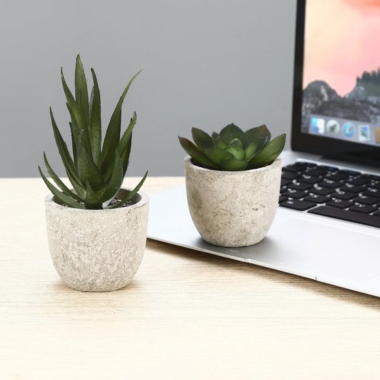 Twee kleine kunstplanten, een met lange groene bladeren en een vetplant, in lichte, ruwe potjes naast een laptop.