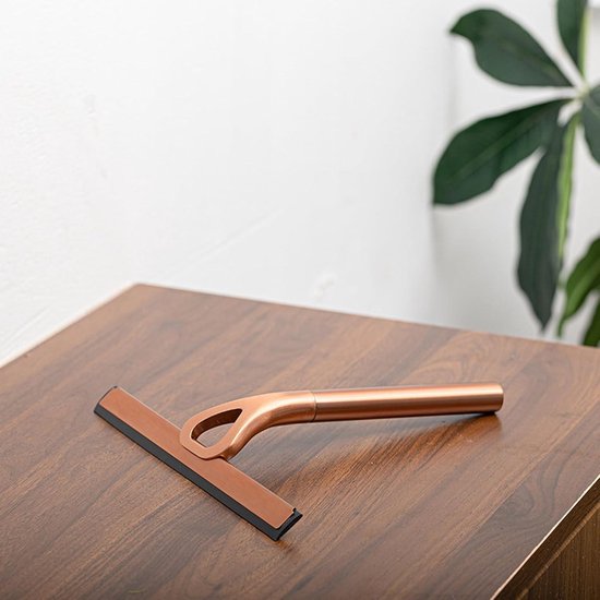 Vloerwissers en raamwissers voor de badkamer
