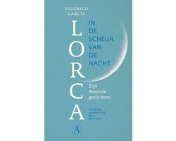 Omslag van In de scheur van de nacht