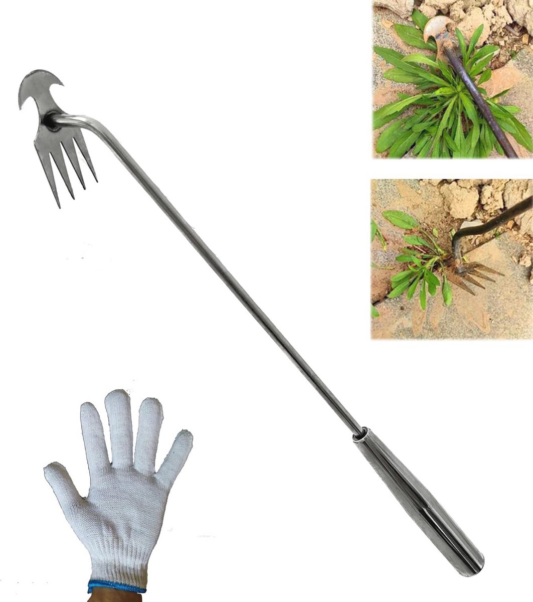 Premium onkruid wieden gereedschap met lange steel en 4 tanden - ideaal voor tuinieren