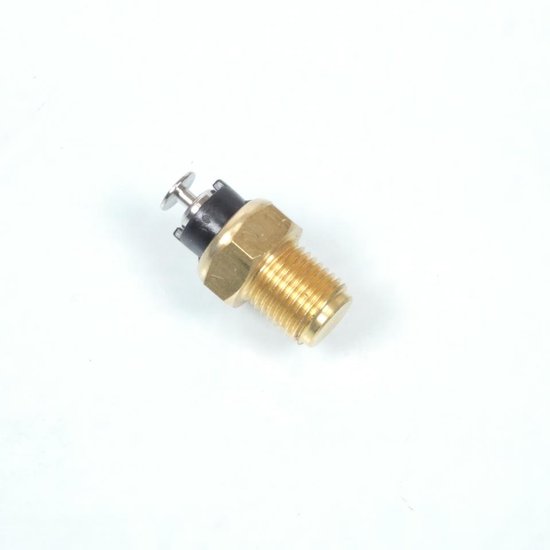 Sonde Rms Sonde de température RMS pour Deux Roues 037093180 Neuf | bol