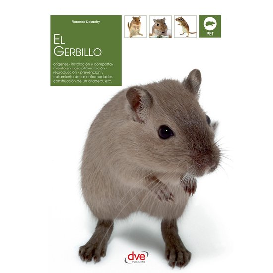 El gerbillo - cover