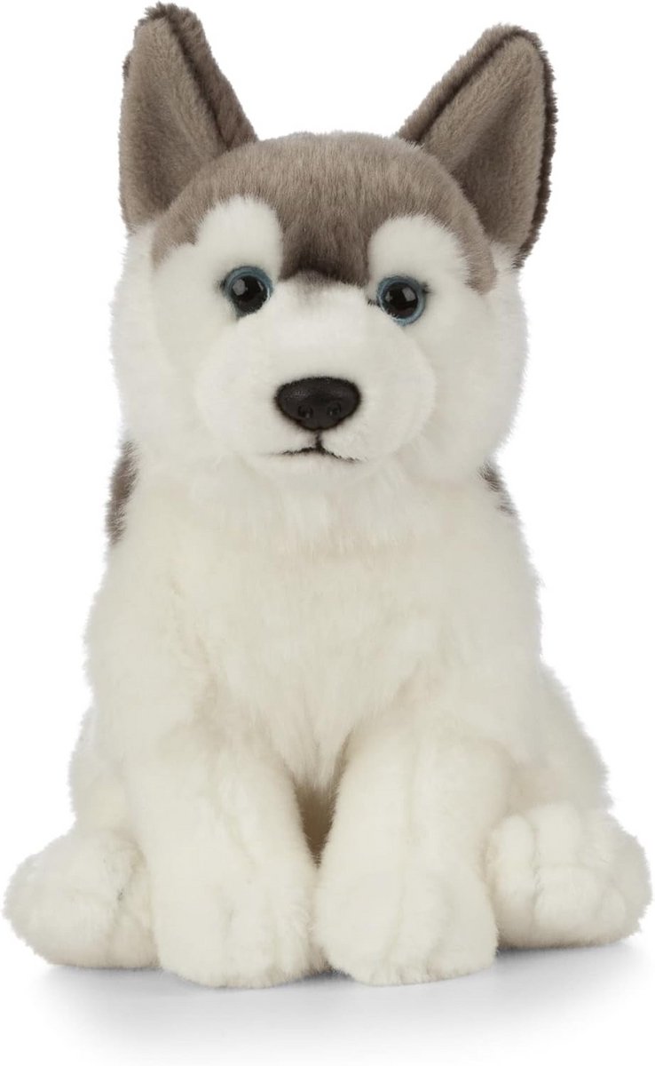 Pluchen Husky Dierenvriend voor Kinderen - 20 cm