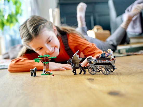 LEGO Harry Potter 76400 La Diligence et les Sombrals de Poudlard
