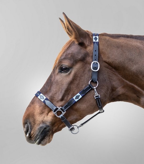 WALDHAUSEN LEDERENHALSTER POLO Blauw