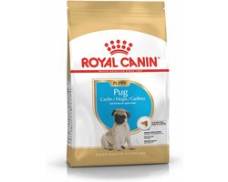 Voeding voor Mopshond Puppies - Gezonde Huid, Spijsvertering en Immuunsysteem