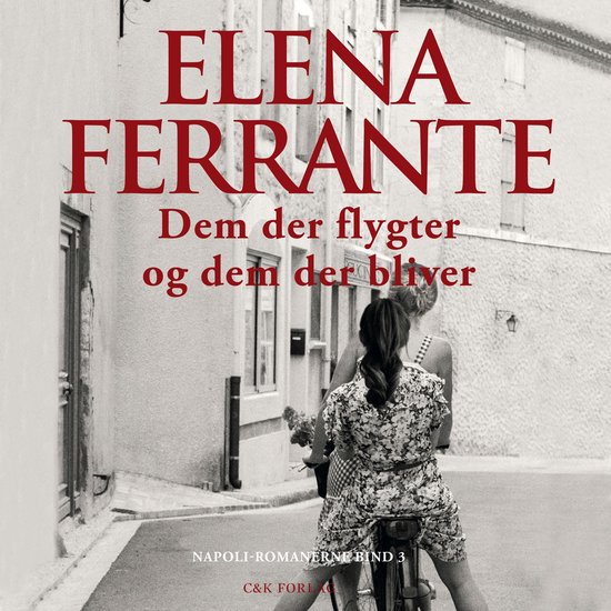 Dem der flygter og dem der bliver - cover