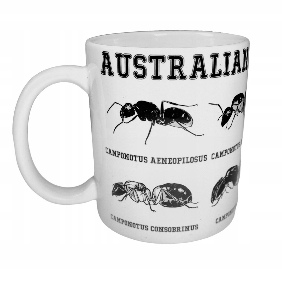 Camponotus Australië AH-6 Mok: AntHunter Keramiek 330ml