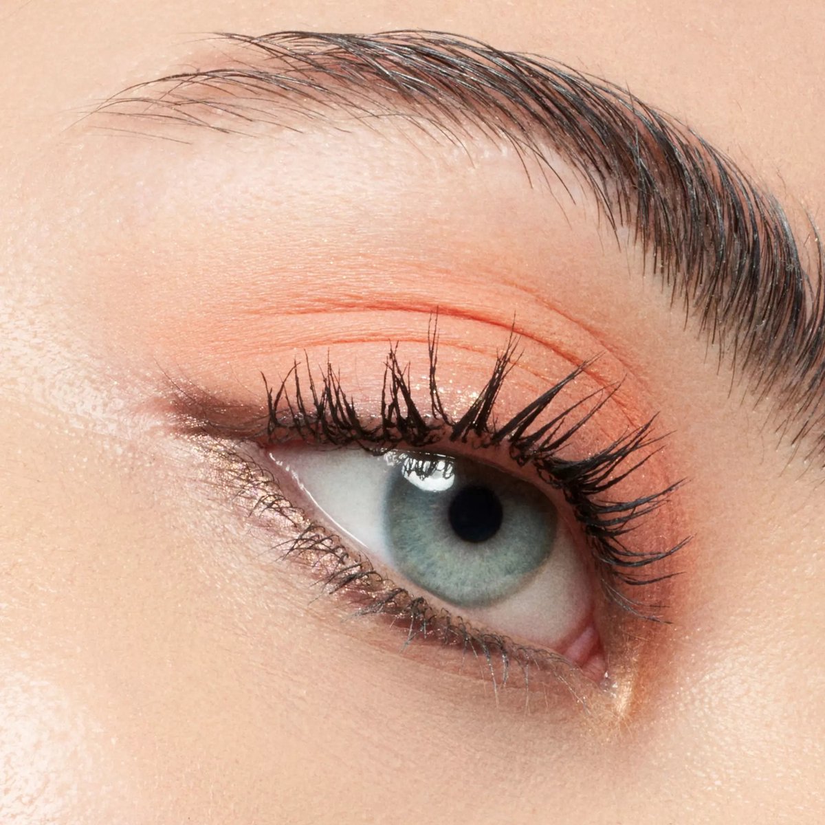 Wenkbrouw mascara Catrice Colour Fix Nº 030 Dark Brown 5 ml