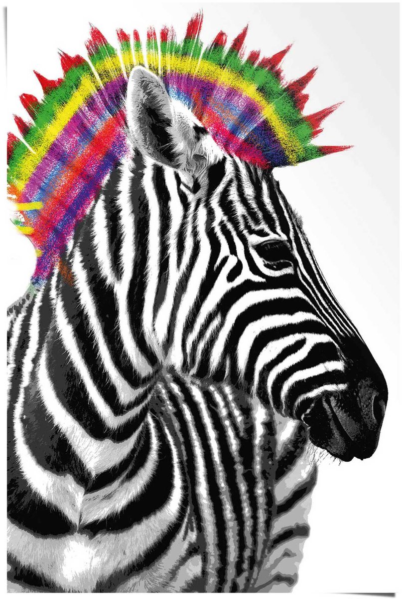 REINDERS Poster Zebra punker - 91,5 x 61 - Papier - REINDERS zwart
