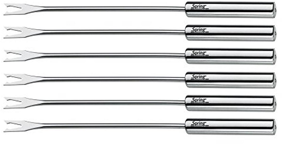 Set van 6 Fondue-vorken van Roestvrij Staal - 26 cm