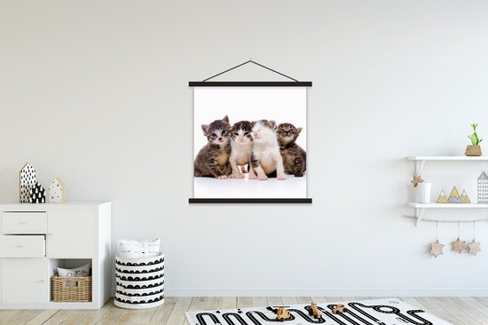 Affiche scolaire - Chat - Animaux domestiques - Fourrure - Portrait - 90x90 cm - Lamelles noires