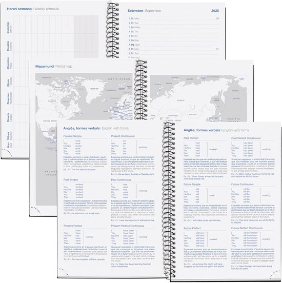 Q Kalon - Agenda 2026 - Dag Per Pagina, Formaat A5 (15x21 cm), Meertalig Jaarplanner (ENG, DU, FRA, SPA), Ringband, Kartonnen Kaft met Beschermfolie - Planner