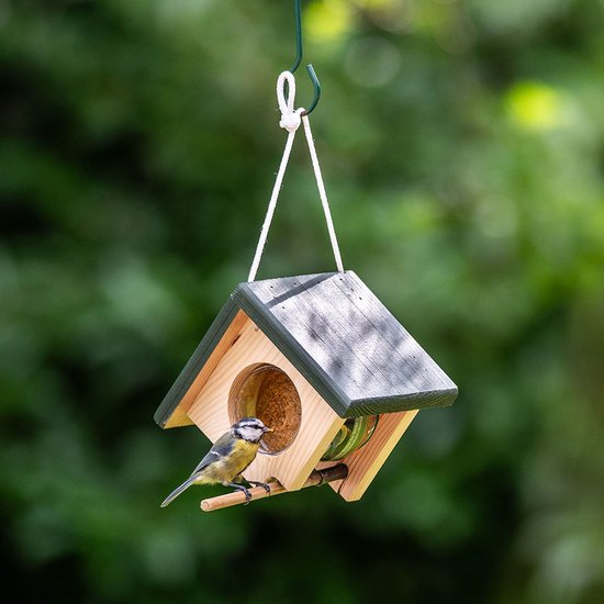 CJ Wildlife Pindakaaspothouder voor Vogels - Cork - Vogelpindakaas Houder - Hangend Vogelvoederhuisje Pindakaas - Bruin/Groen