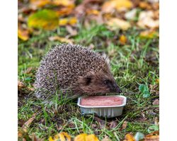 CJ Wildlife - 16x 100g Bio Paté voor Egels - Voordeelverpakking - Biologisch natvoer voor gezonde egels - Egelvoer