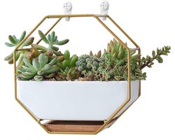 Keramische Muur Plantenbakken met Bamboe en Koper - Geometrische Hexagon Wanddecoratie voor Vetplanten en Cactussen
